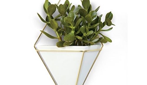 Umbra Trigg Hanging Planter Vase and Geometric Wall Décor Container