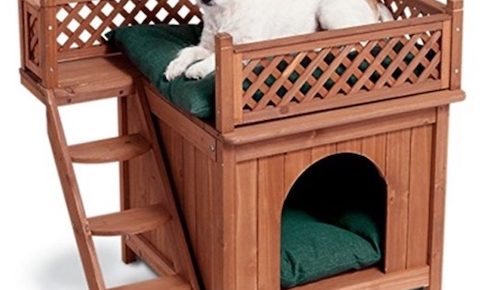 Wood Pet Home – Room With a View