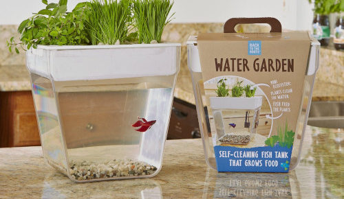 Aqua Farm Herb Garden Fish Tank